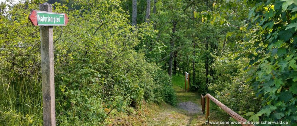 Wanderung am Rundwanderweg Lehrpfad Elisabethszell haibach-elisabethszell-naturerlebnispfad-niederbayern-naturlehrpfad