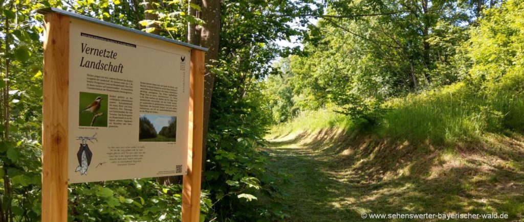 Wanderung am Lehrpfad ab Elisabethszell Wandern am Naturerlebnispfad Elisabethszell Haibach Lehrpfad Natur