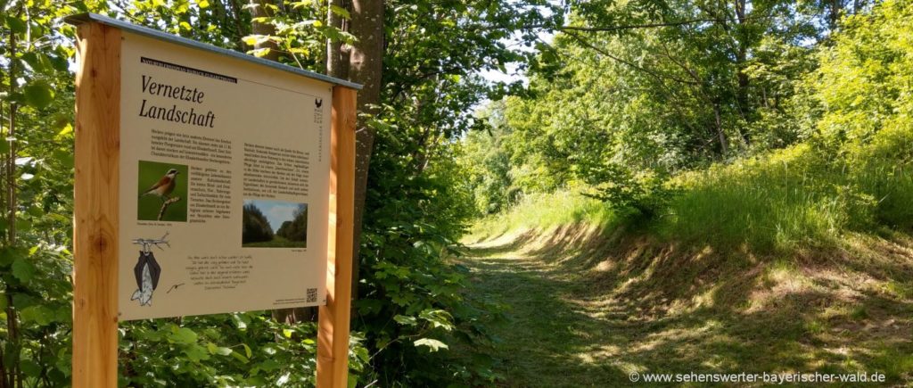 Wandern am Naturerlebnispfad Elisabethszell Haibach Lehrpfad Natur