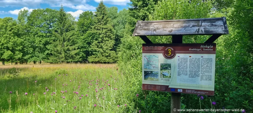 Oberlichtbuchet Ruinendorf - Wanderung in Tschechien