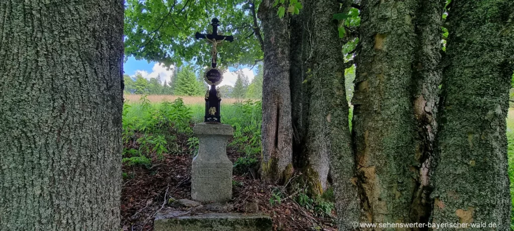 Wegkreuz zwischen mächtigen Bäumen am Wanderweg in Tschechien