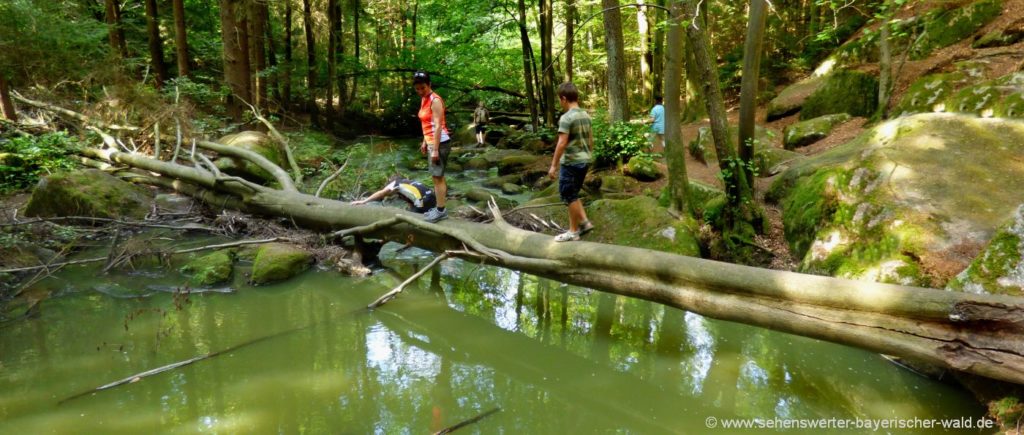 Ausflugsziele bei Rettenbach Höllbachtal Rundweg Wanderung