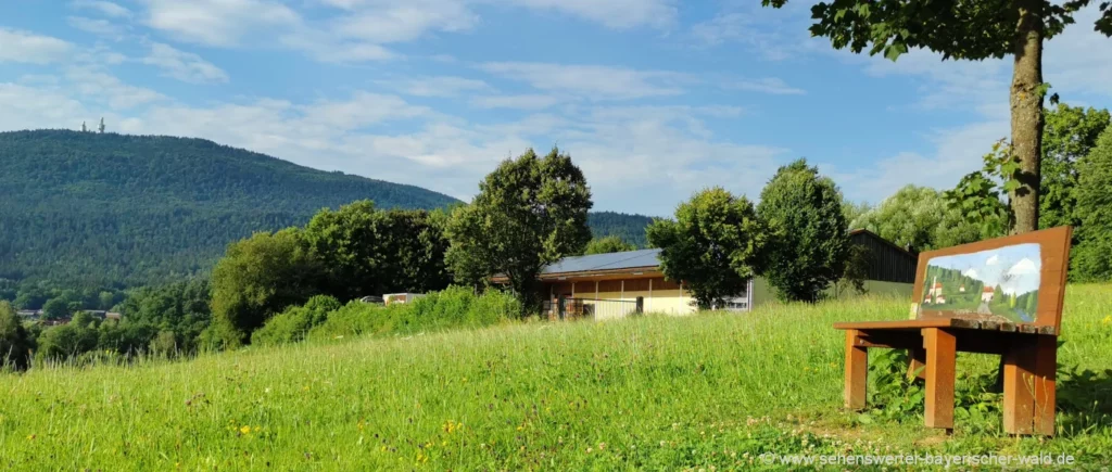 Sitzbank für draußen Rastbank am Wanderweg Bayerischer Wald