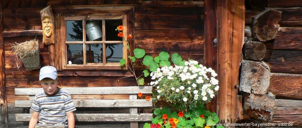 Bayerischer Wald Tiny House mitten in der Natur kleines Ferienhaus mieten für Tiny House Urlaub in Bayern