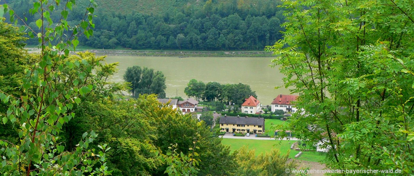 jochenstein-naturschutzgebiet-donauleiten-schmugglerweg-wandern