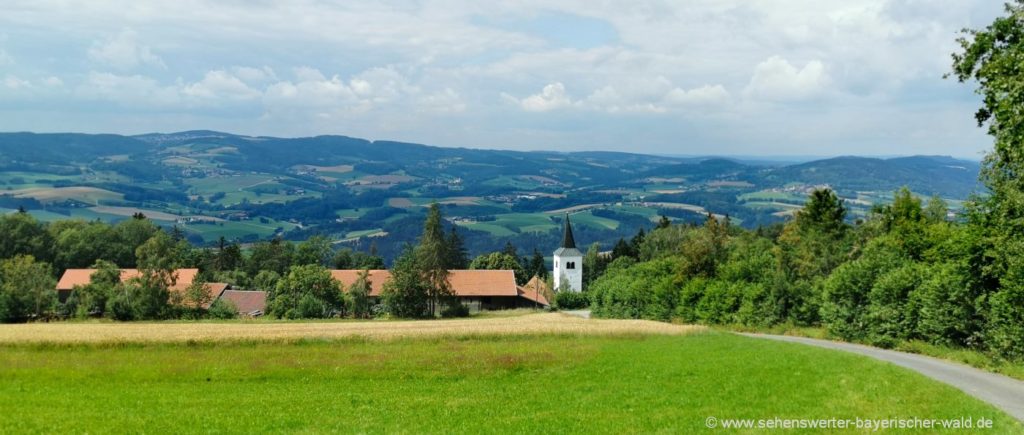 Gallner Rundweg bei Konzell und Stallwang