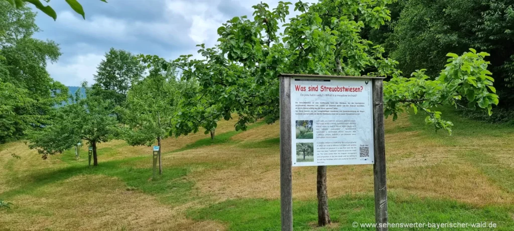 Wanderung zum Guntherstein mit Abstecher zum Streuobsterlebnisgarten