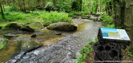 Rundwanderweg Leuchtenberg Lerautal zur Wolfslohklamm