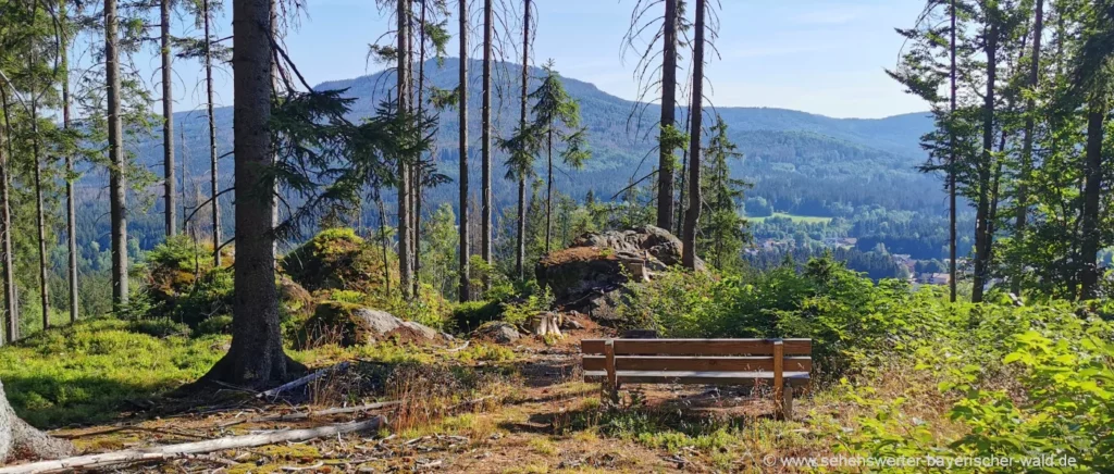 Ruhebank am Aussichtspunkt zum Falkenstein Rundwanderweg Lindberg Bankerl am Aussichtspunkt zum Falkenstein Berg