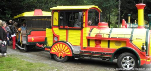 lohberg-kleiner-arbersee-bahn-zug-seniorenausflugsziele