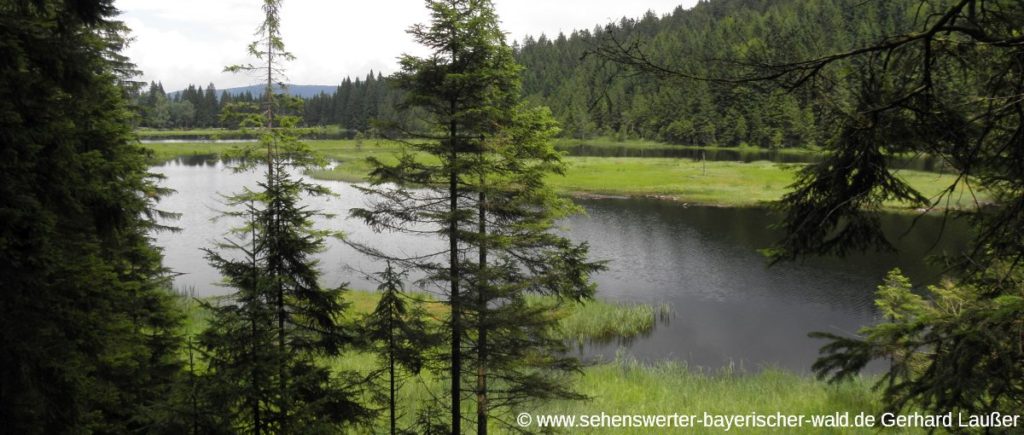 Kleiner Arbersee Rundwanderweg zur Mooshütte und Sollerbach Wasserfall