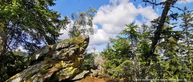 Wandern zur Sphinx & Hörndl bei Lohberg - Hochstätter Gipfel & Bramersbacher Platz