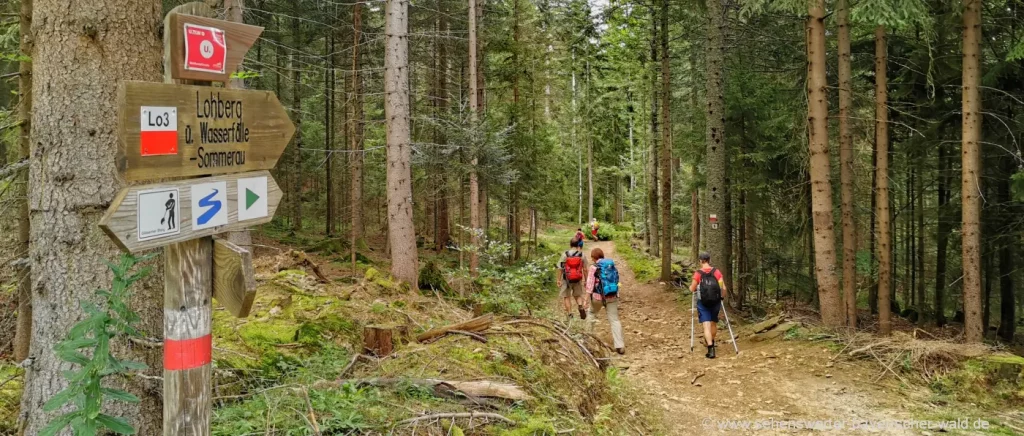 Wanderung Lohberg Sommerau kleiner Arbersee zum Wasserfall Sollerbach