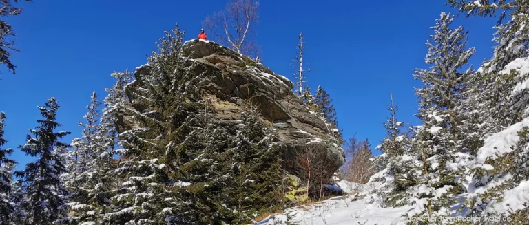 Rundweg Lohberger Steindl Bayerischer Wald Wanderung