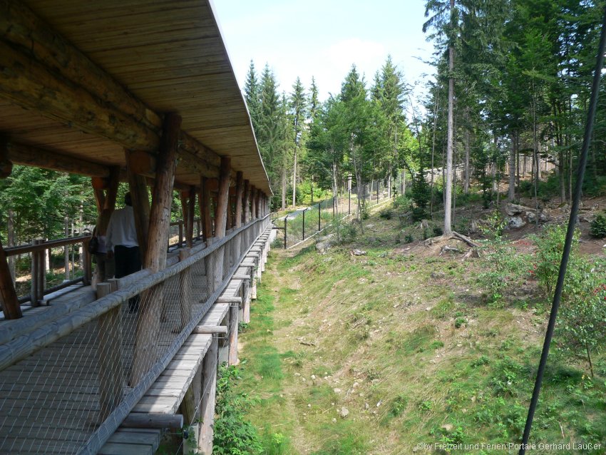 Haus zur Wildnis in Ludwigsthal Nationalparkzentrum