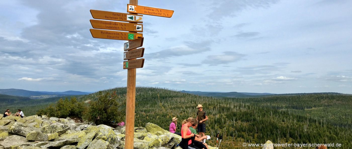 lusen-wandern-finsterauer-lusensteig-felsen-gipfel