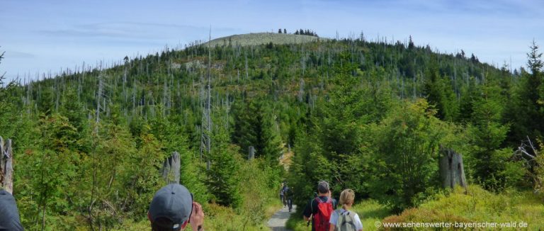 lusen-wandern-gipfel-himmelsleiter-felsen-blockmeer