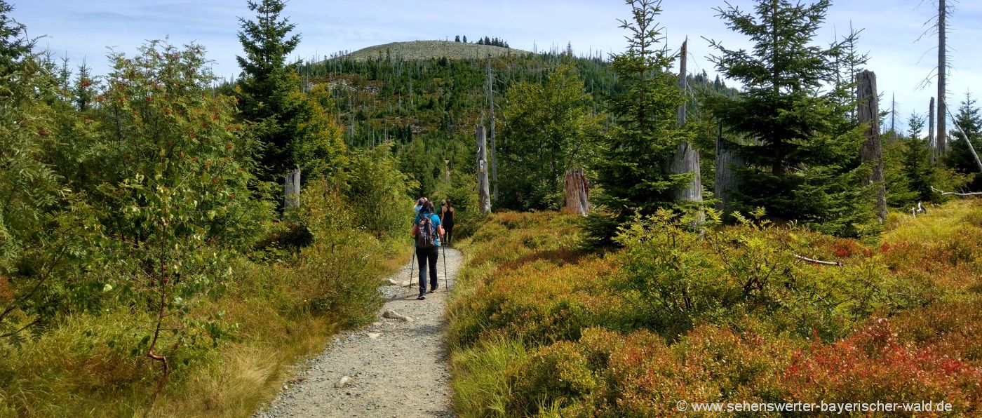 lusen-wanderung-berggipfel-bayerischer-wald-tagesausflug