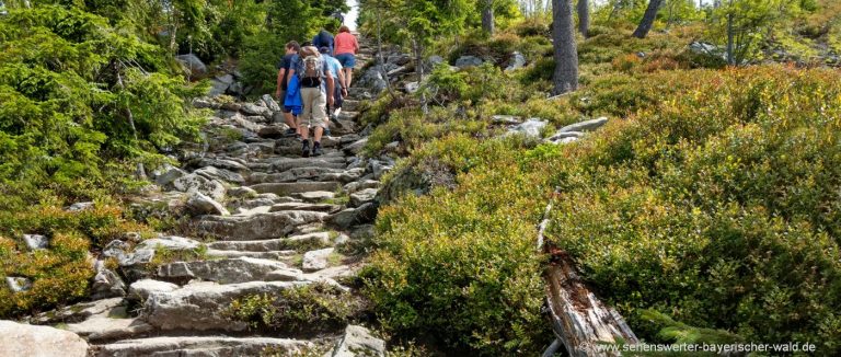 lusen-wanderung-himmelsleiter-sommer-wanderweg