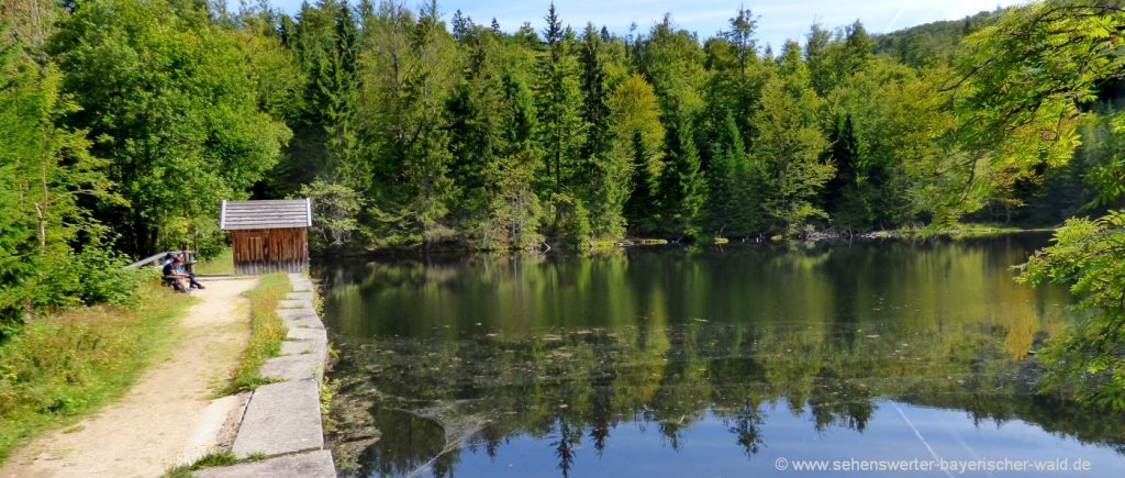 Lusen Wanderweg über die Martinsklause Bergsee Bayerischer Wald