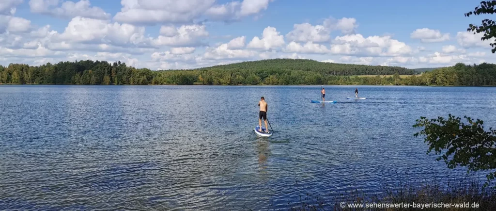 Wassersport im Oberpfälzer Seenland Wassersport im Oberpfälzer Seenland