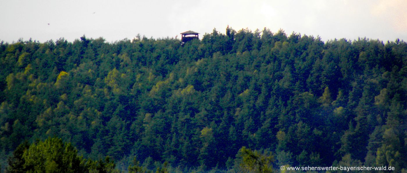 nabburg-aussichtsturm-am-kulm-wanderung-ausflugsziele-oberpfalz