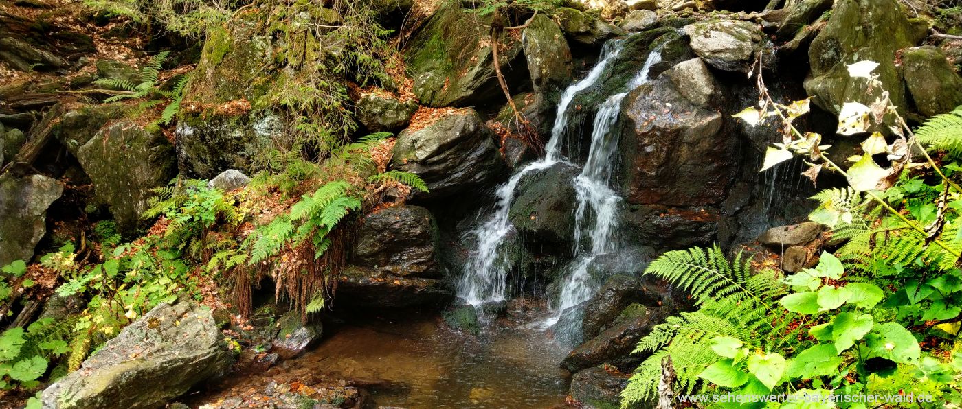 nationalpark-falkenstein-urwaldgebiet-höllbachgspreng-wanden-wasserfall