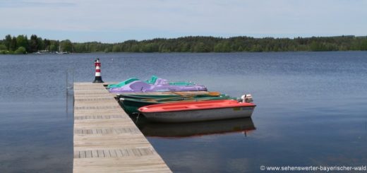 neubäu-neubäuer-see-oberpfalz-boot-fahren-schwimmen