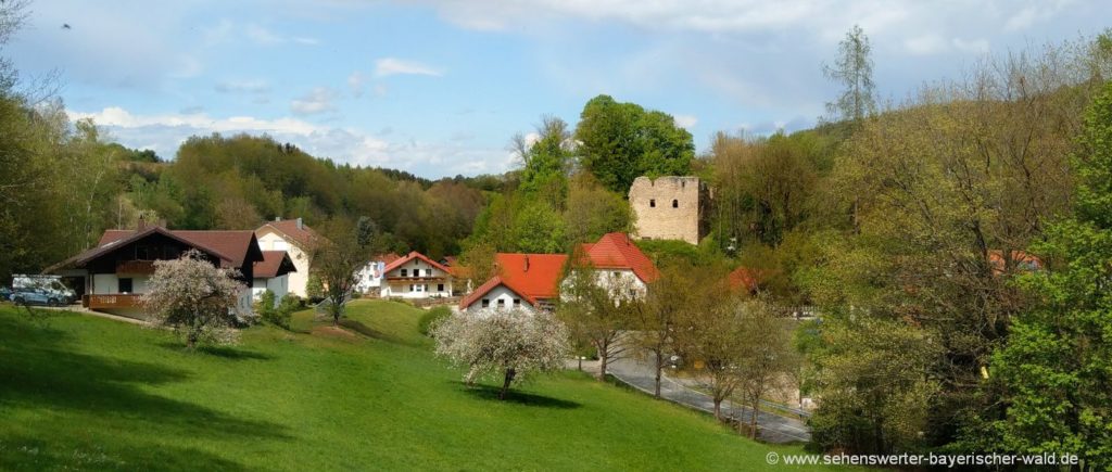 Neuhaus Burgruine bei Schorndorf im Landkreis Cham Oberpfalz