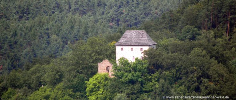 Sehenswürdigkeiten Nittenau Burgruine Stockenfels im Marienthal