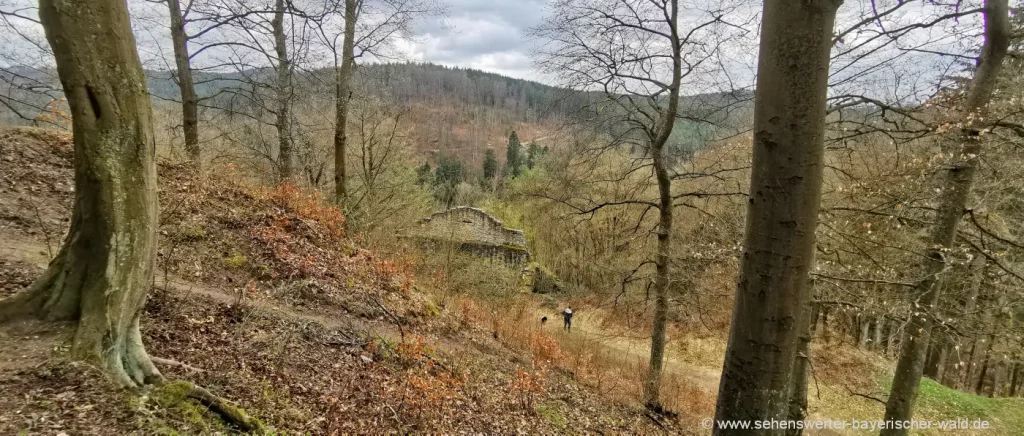 Rundwanderweg Nittenau Stockerfels Burgruine Aussichtspunkt Regental