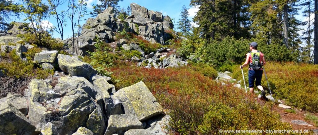 Grenzsteig Osser Zwercheck Bayerischer Wald Kammwanderung Osser Zwercheck Grenzsteig