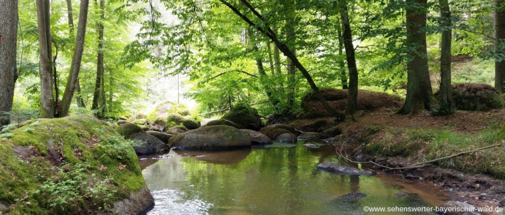 Otterbachtal bei Altenthann ausflugsziele Altenthann das Otterbachtal