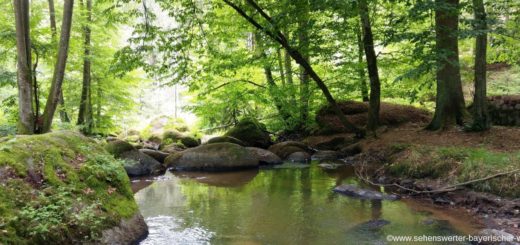 rundweg-otterbachtal-wanderung-regensburg