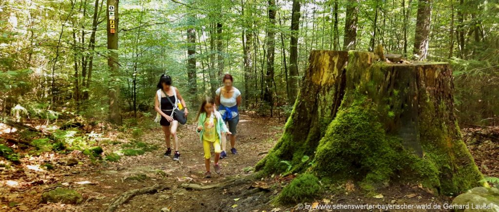 Outdoor Aktivitäten beim Betriebsausflug in Deutschland Ideen Wanderung