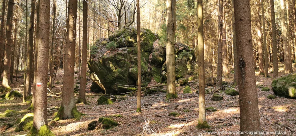 Felsformation am Rundweg Bärenhöhle Pemfling Felsen mitten im Wald am Bärenhöhlenweg bei Pemfling
