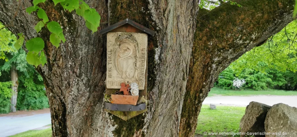 Marienverehrung an einem alten Baum
