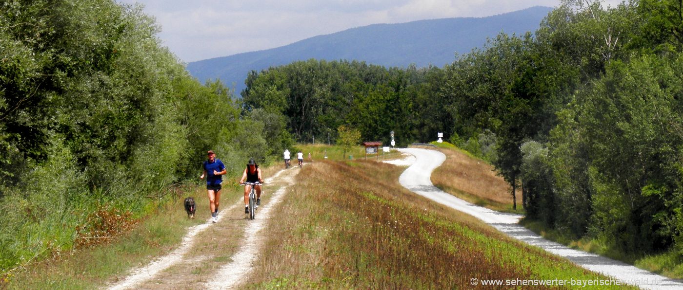 Radwegenetz in Niederbayern Leichte Fahrradstrecken Radweg an der Isar