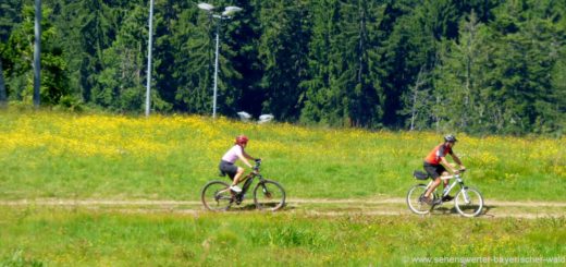 radfahren-bayerischer-wald-radtouren-bayern-radwege