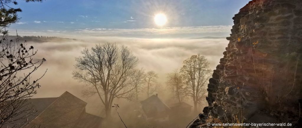 Wanderweg Burglehrpfad Weissenstein Burgruine am Pfahl Aussicht Nebel