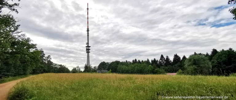 Wanderung Regensburg Hohe Linie Funkturm Sendemast