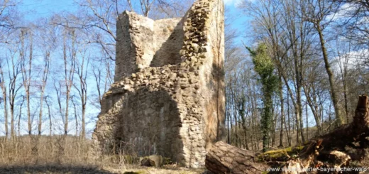 regenstauf-burgruine-forstenberg-wanderung-oberpfalz