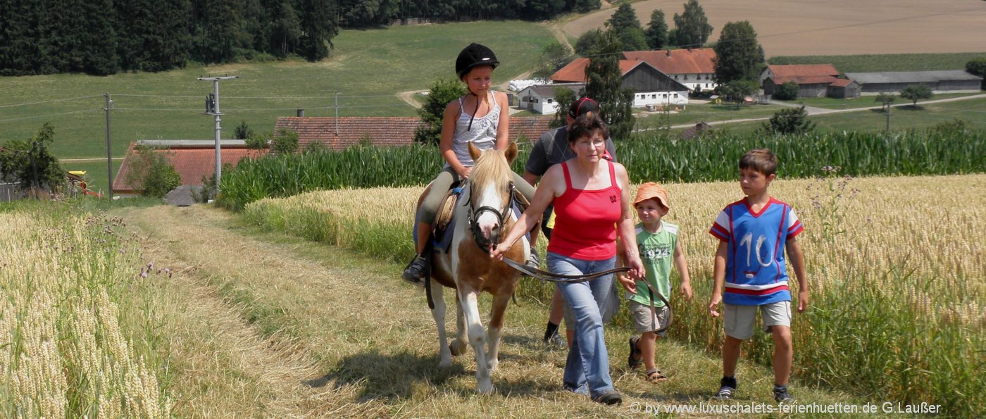 Reiterhöfe in Niederbayern - Reiterferien für Kinder bei Deggendorf, Passau, Freyung reiterferien-kinder-bayern-ponyreiten-bayerischer-wald