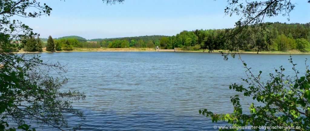 Freizeittipp & Sehenswürdigkeiten Rettenbach Angeln am Stausee