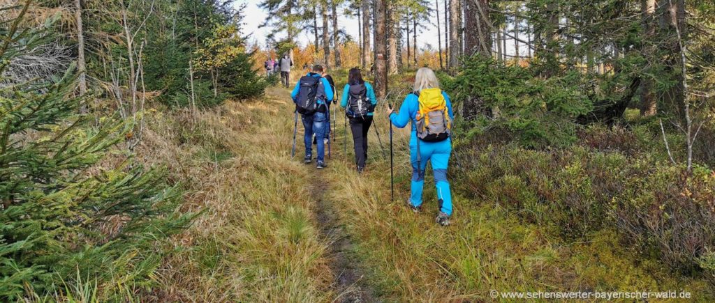 Tipps für Diabetiker beim Wanderurlaub Bayerischer Wald Grenzsteig