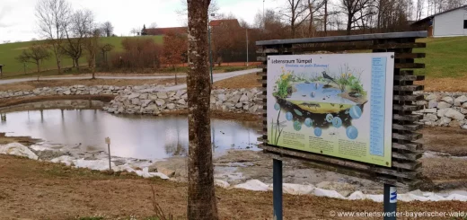 Kunstweg in Ruderting Lehrpfad Natur