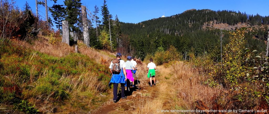 Bergwandern Bayerischer Wald - Wandern Niederbayern & Oberpfalz