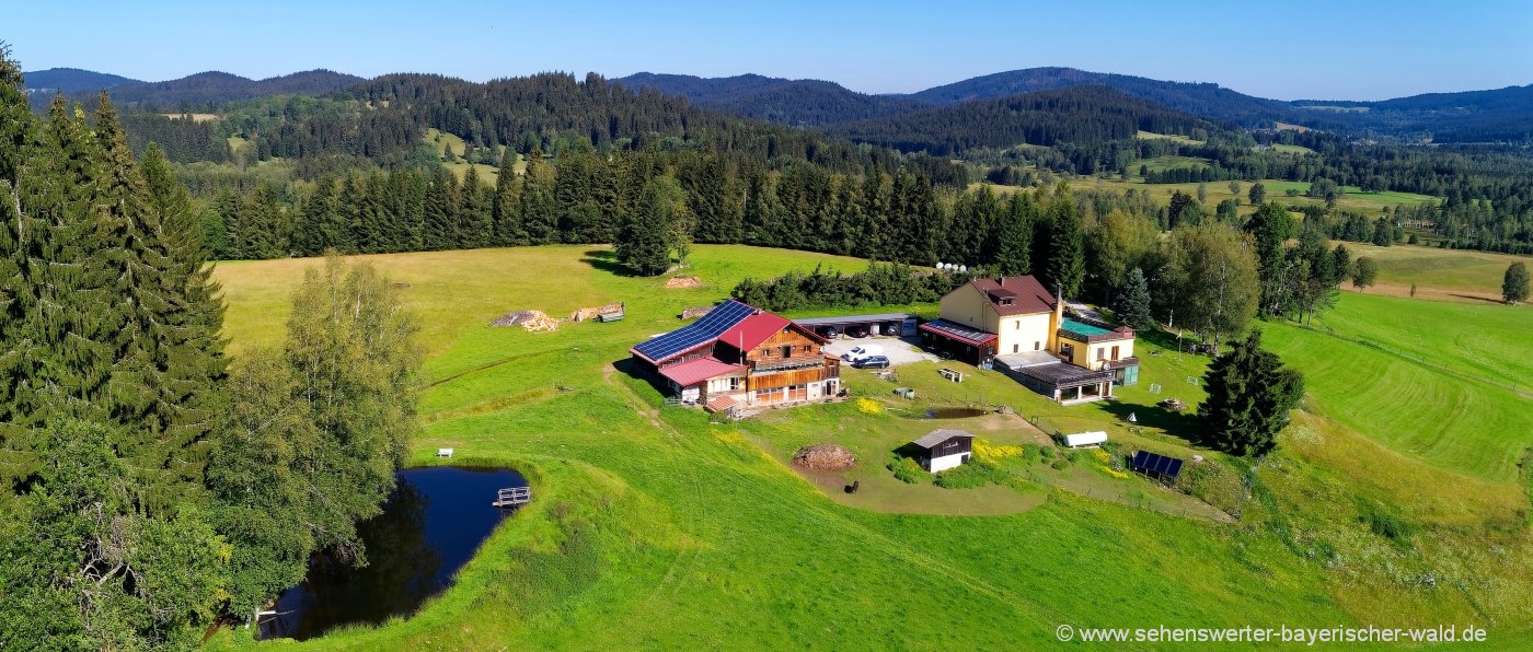 runenhof-bauernhofpension-dreiländereck-bayerischer-wald-alleinlage