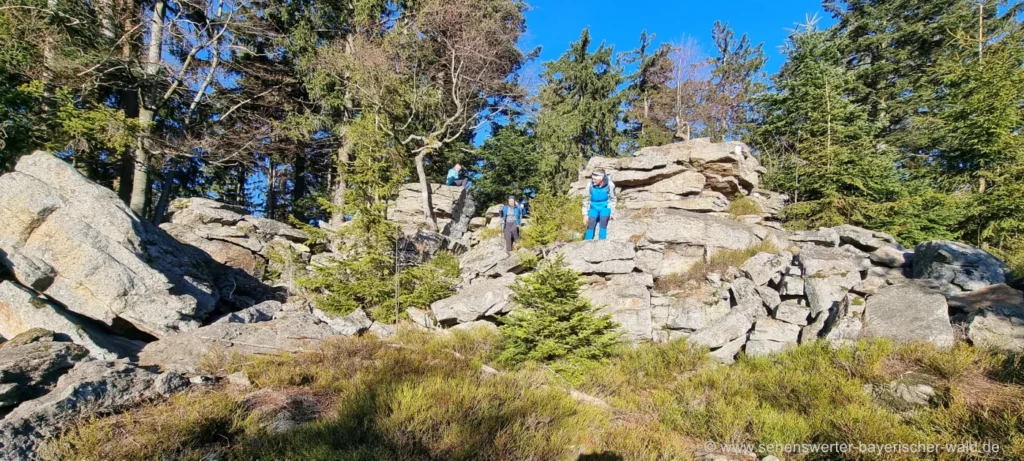 Felsenweg am Hadriwa Höhenrücken Wanderkarte Kreuzhaus Rundweg - Hadriwa Wanderweg mit Felsen