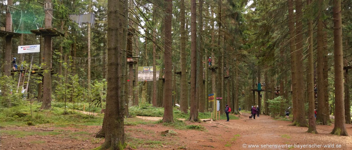 Abenteuer für Familien & Gruppen im Hochseil Klettergarten im Bayerischen Wald sankt-englmar-hochseilgarten-niederbayern-kletterwald